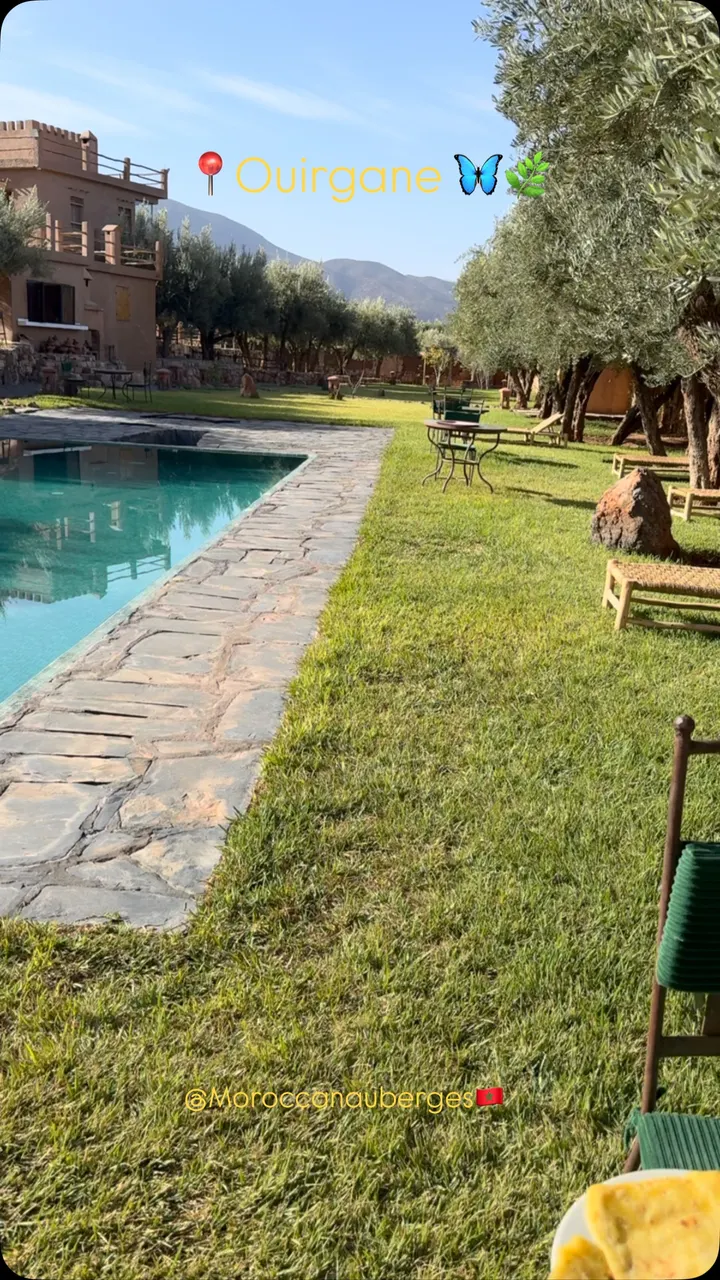 Piscine bordée d’un chemin en pierre au milieu d’une oliveraie